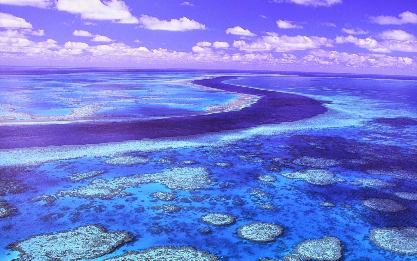 Great Barrier Reef Australia