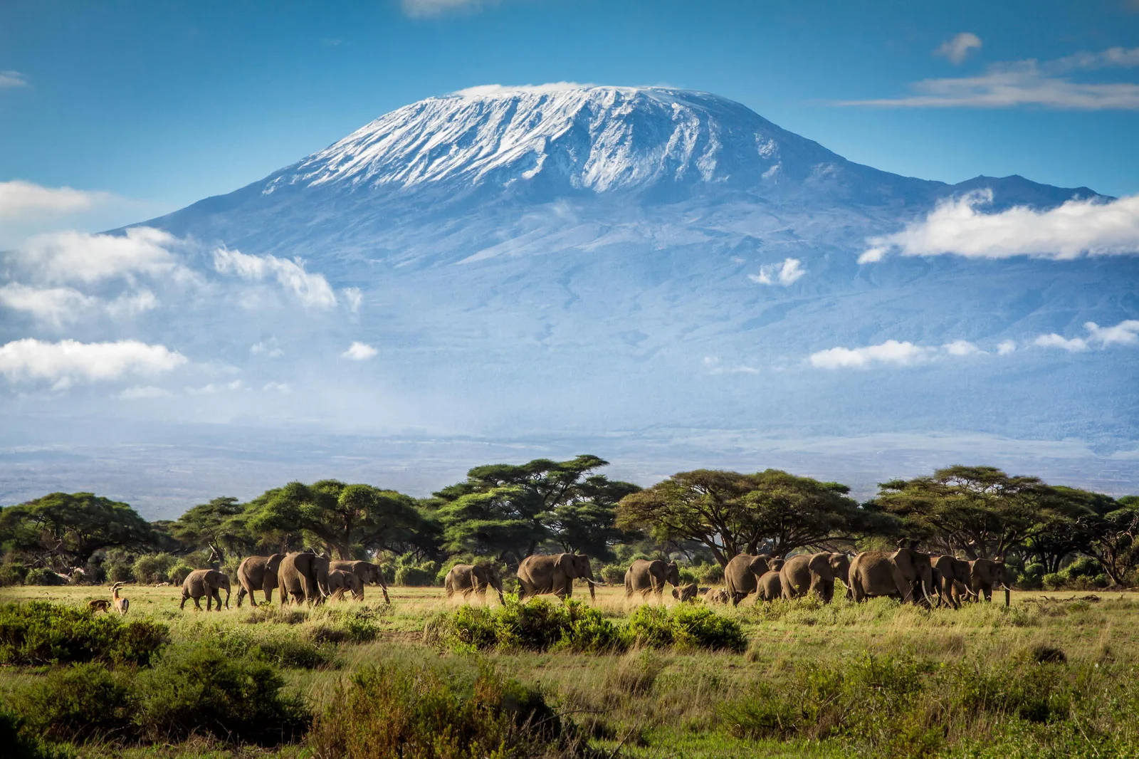 Mount Kilimanjaro Expedition